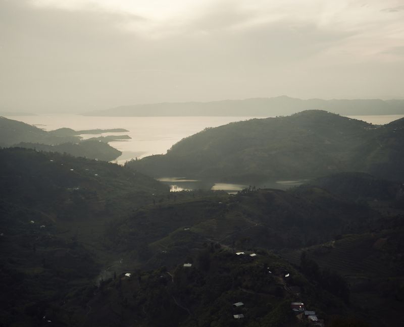 © Cécile Smetana - Home of Rose