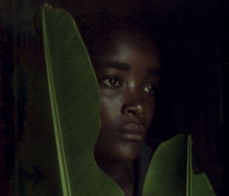 © Cécile Smetana - Rose