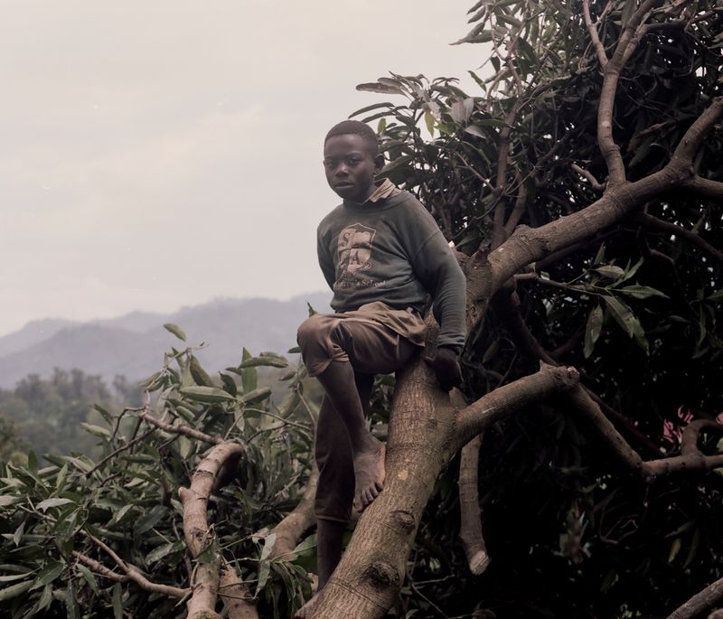 © Cécile Smetana - Idjwi: Boy on a cut down tree