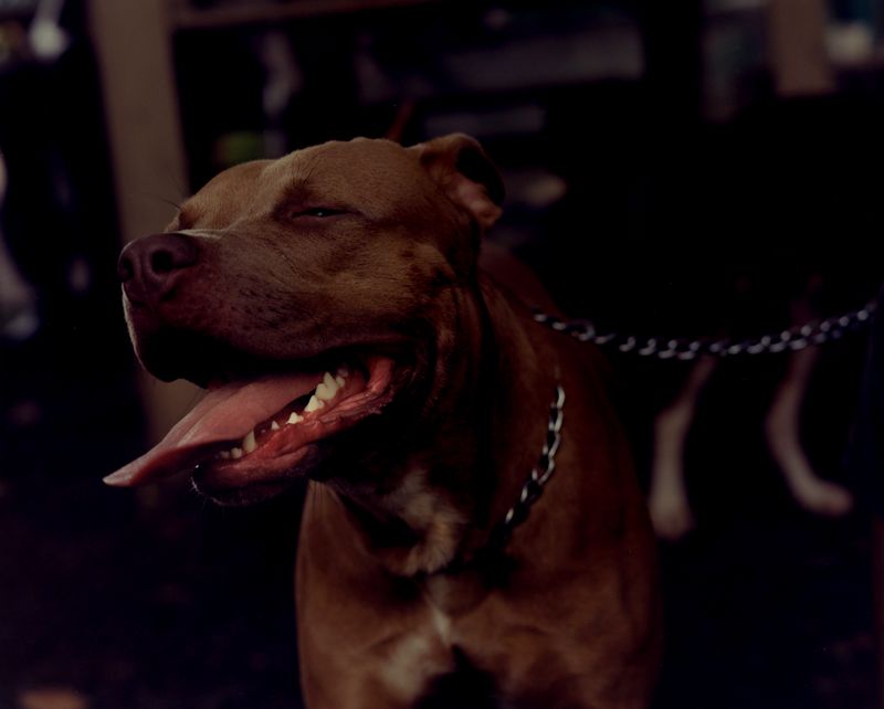 © Cécile Smetana - Image from the Karukera - A love letter to Guadeloupe photography project