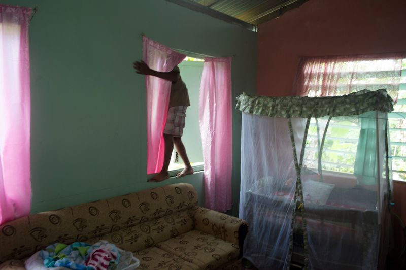 © Johanne Rahaman - My nephew Abdul picks cashews off the tree at home of brother Courtenay. Diego Martin, Trinidad 2016
