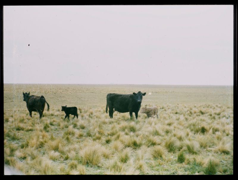 © Tomas Aphalo - Image from the En La Orilla Opuesta photography project