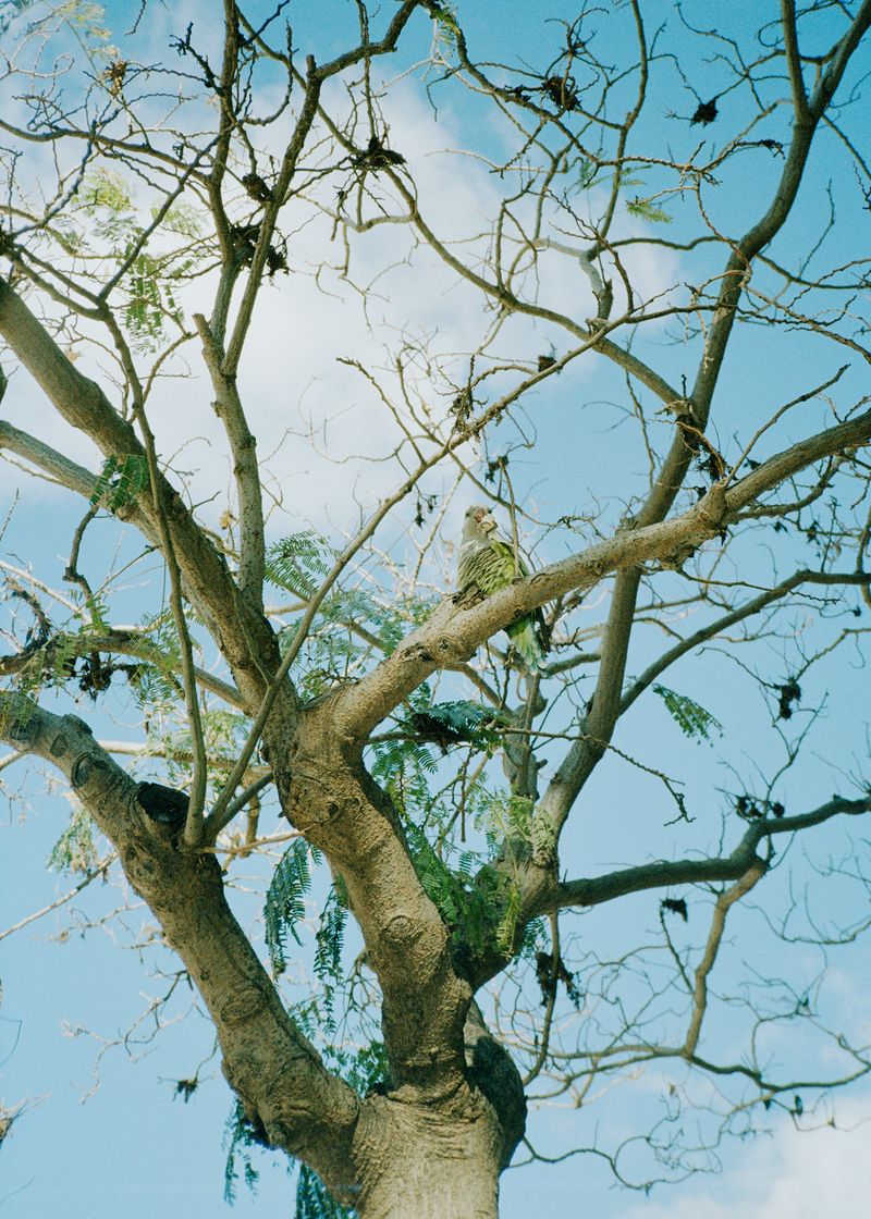 © Tomas Aphalo - Image from the En La Orilla Opuesta photography project