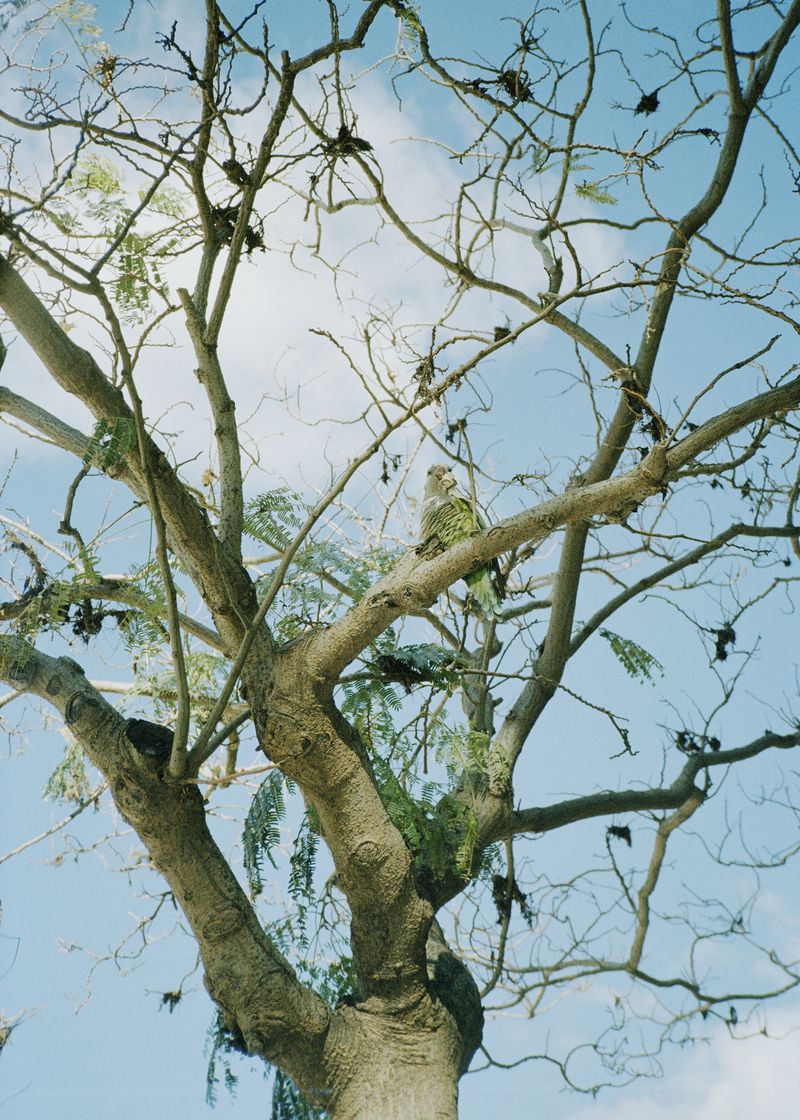 © Tomas Aphalo - Image from the En La Orilla Opuesta photography project