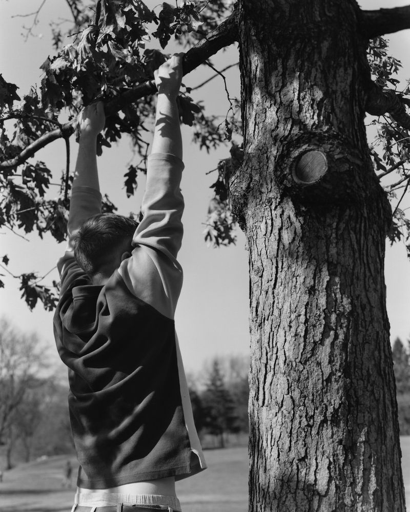 orian with tree, 2024