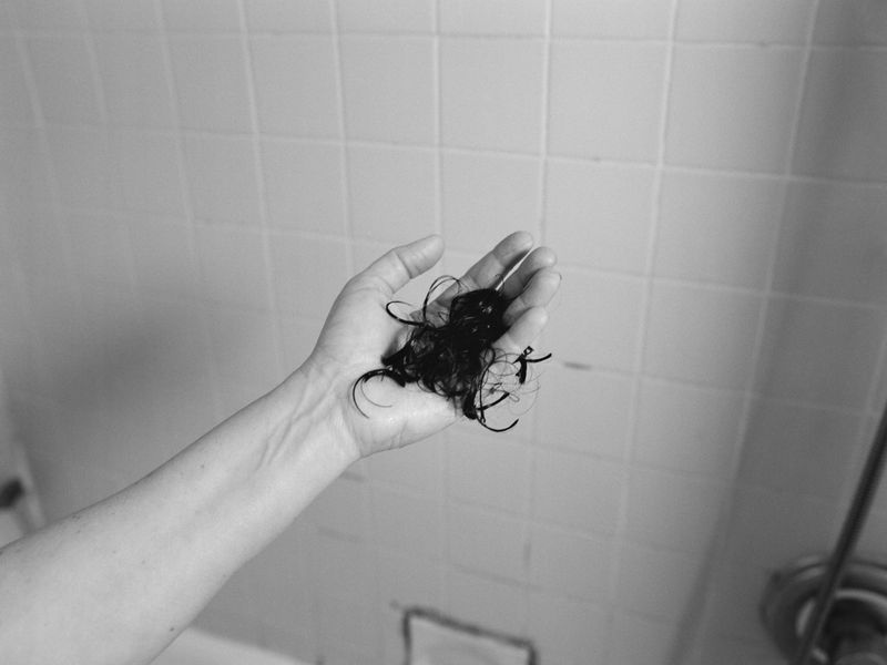 © Noy Finer - Image from the stitching a fallen leaf photography project