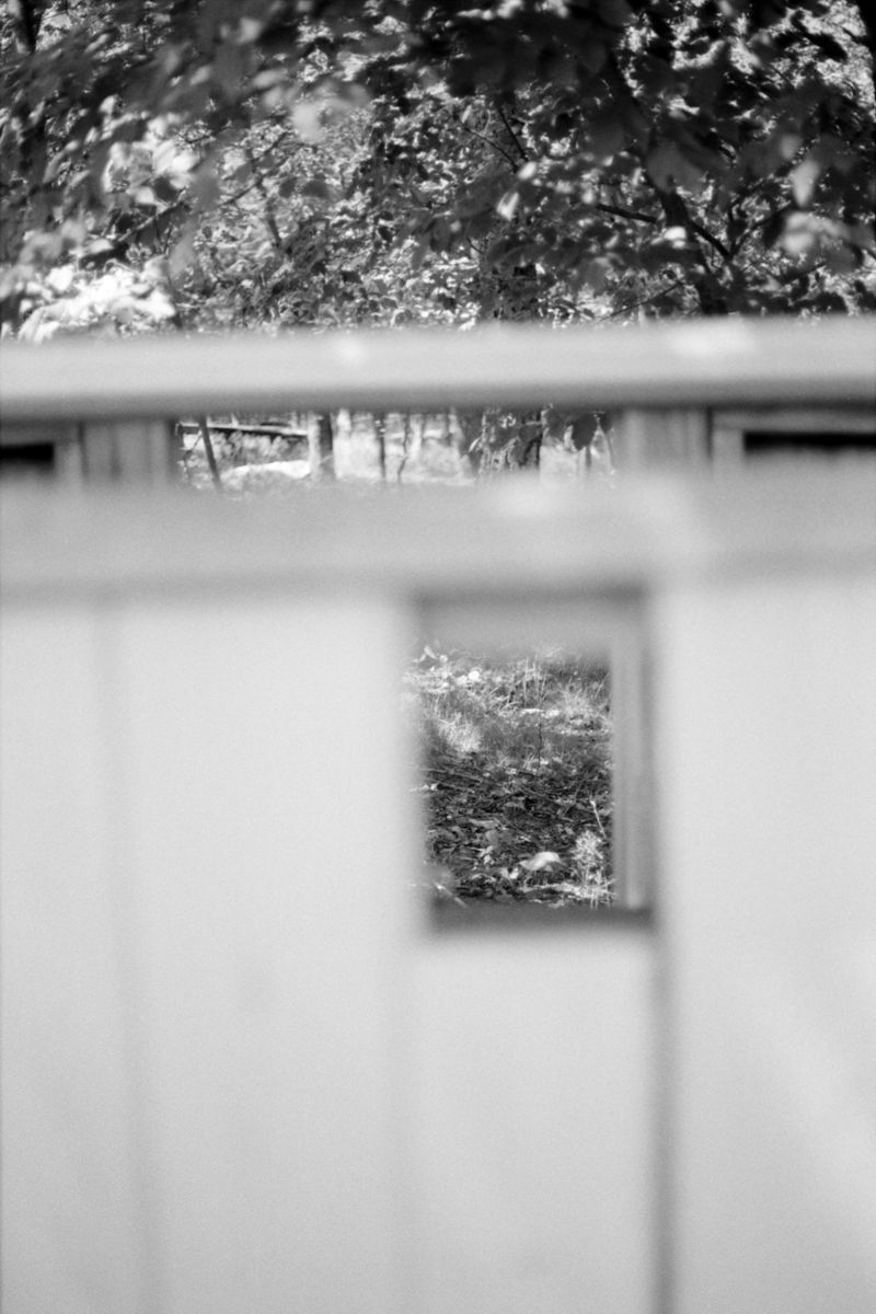 © Noy Finer - Image from the stitching a fallen leaf photography project