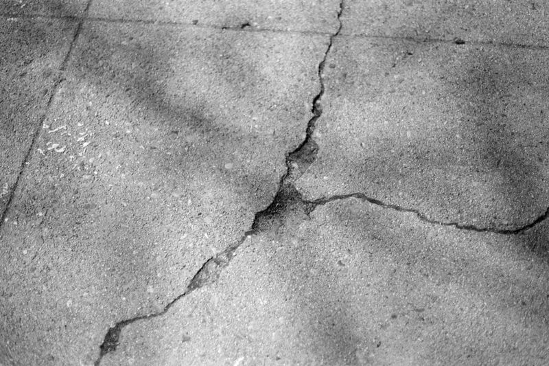 © Noy Finer - Image from the stitching a fallen leaf photography project