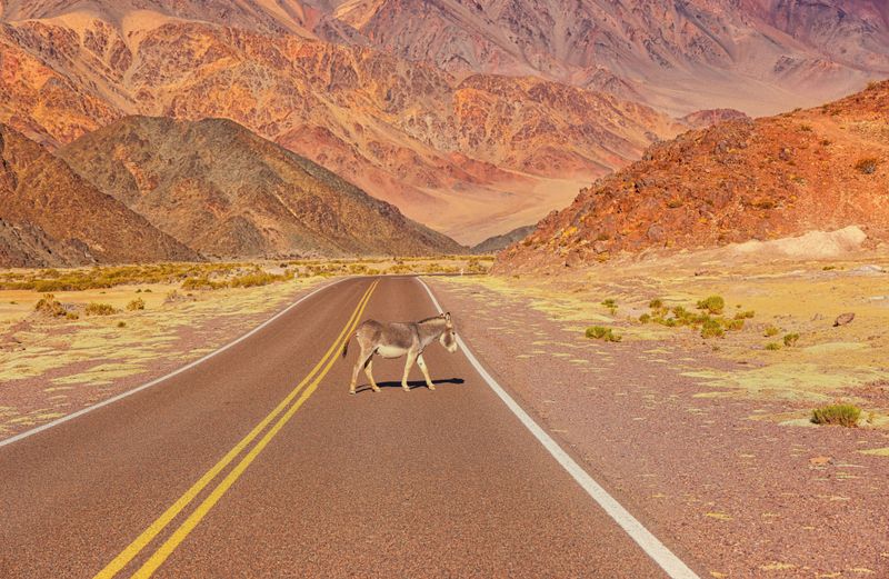 © Diego Ben Karlsson - Image from the Geographies of Silence photography project