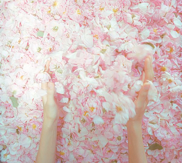 © Rëza Dè Ghān - Image from the The Fading Roses photography project