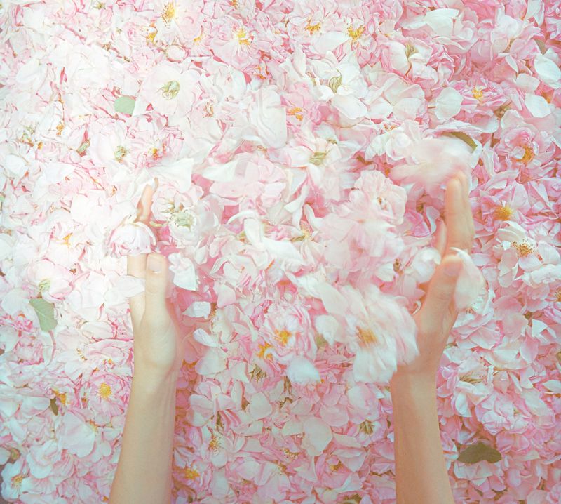 © Rëza Dè Ghān - Image from the The Fading Roses photography project