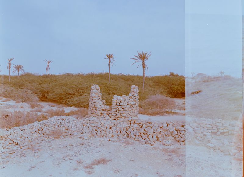 © Rëza Dè Ghān - Image from the The Fading Roses photography project
