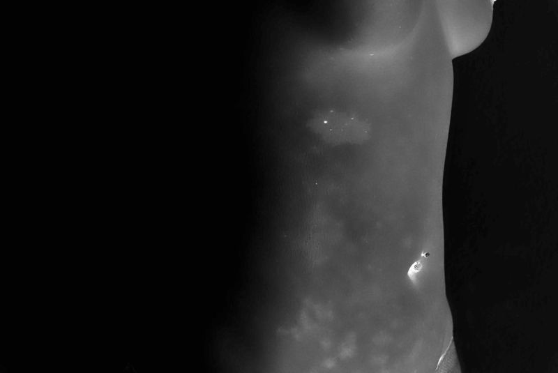 © Kar Lai Low - Only marks remember we're family