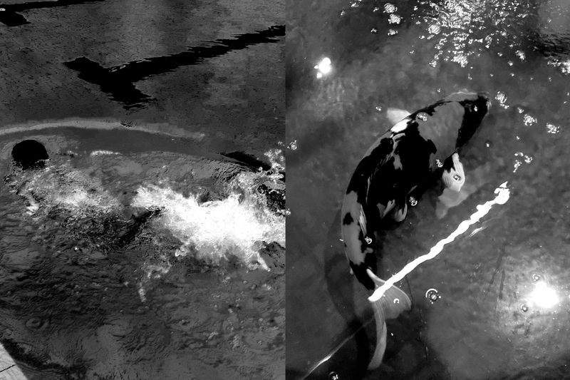 © Kar Lai Low - 7 seconds memory