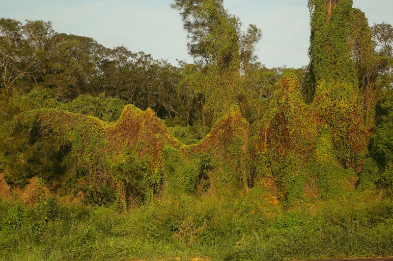 © Elke Scholiers - Image from the Until 1992 photography project