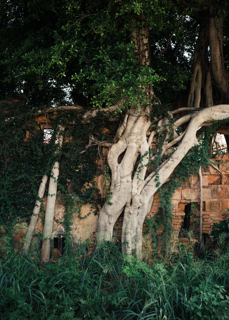 © Elke Scholiers - Image from the Until 1992 photography project