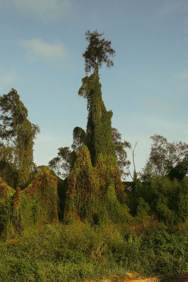 © Elke Scholiers - Image from the Until 1992 photography project