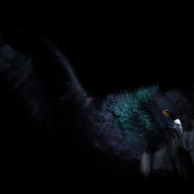 © Rolando Angulo Gálvez - Image from the Strange Beauties Series 2 photography project