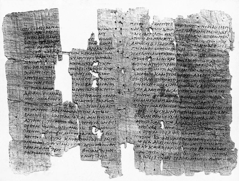 © Carly Steinbrunn - Parchment