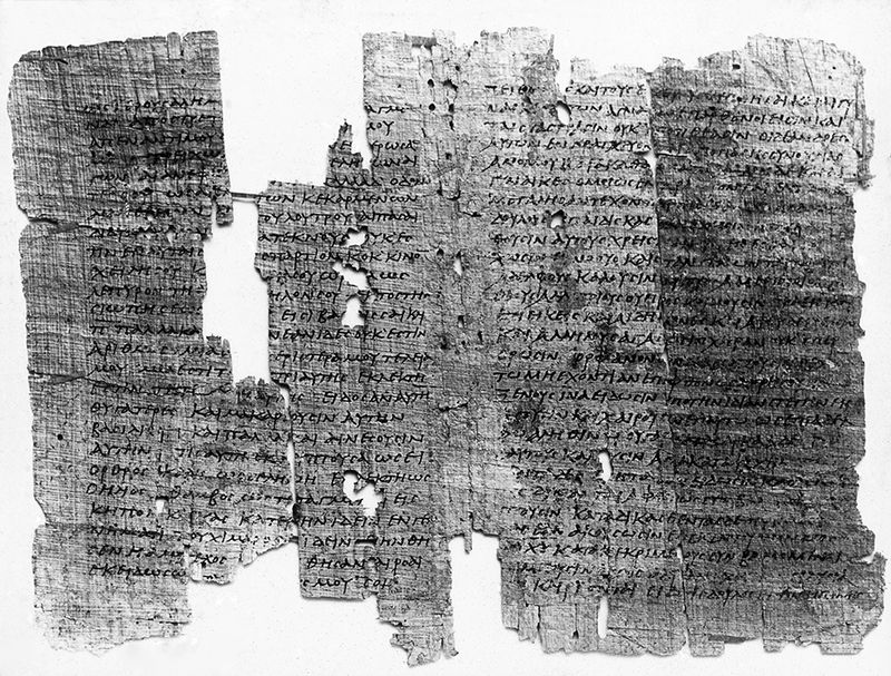 © Carly Steinbrunn - Parchment