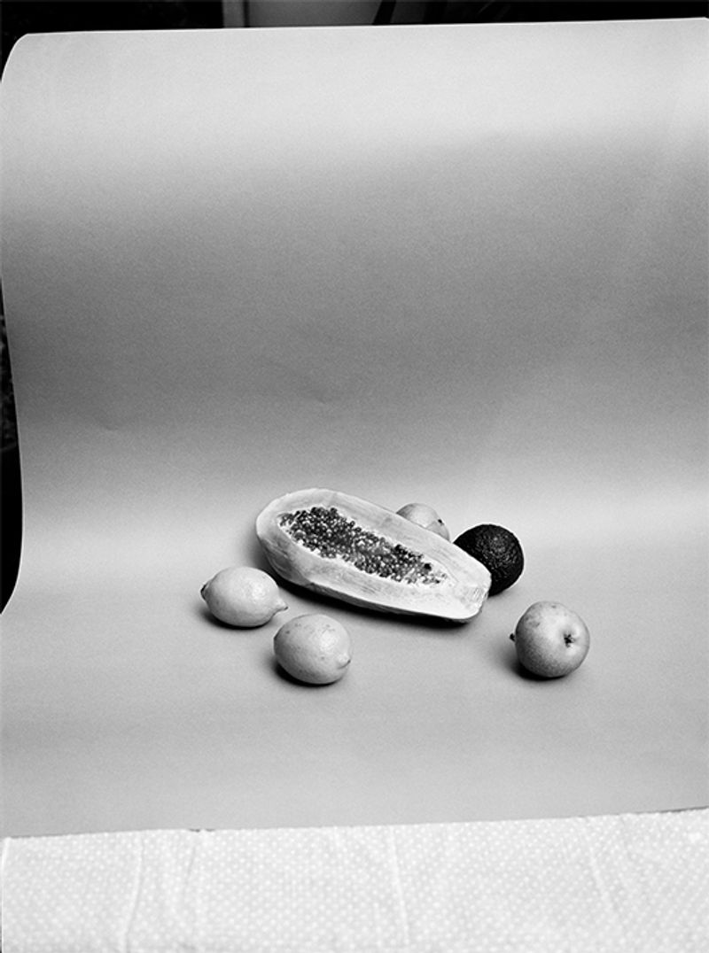 © Carly Steinbrunn - Still life