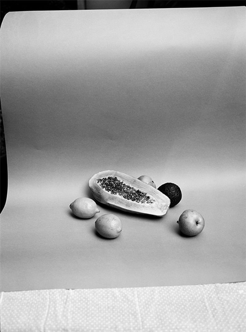 © Carly Steinbrunn - Still life