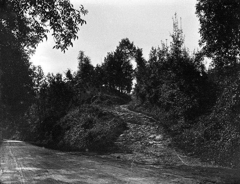 © Carly Steinbrunn - Landscape