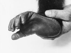 The voyage of discovery