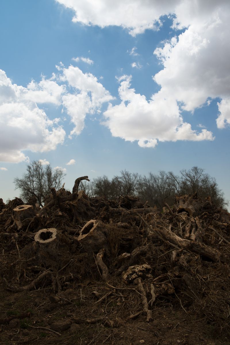 © Veronica Andrea Sauchelli - Image from the Tales of fire photography project
