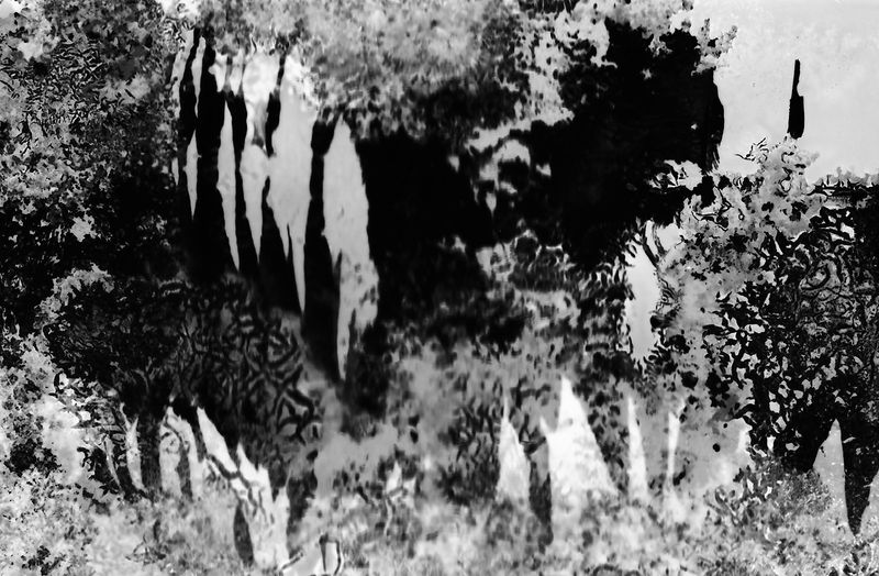 © Andrea Gallo - #analog #ddr #film #orwo #np27 #abstract #silverhalide #emulsion #decay #b/w #time