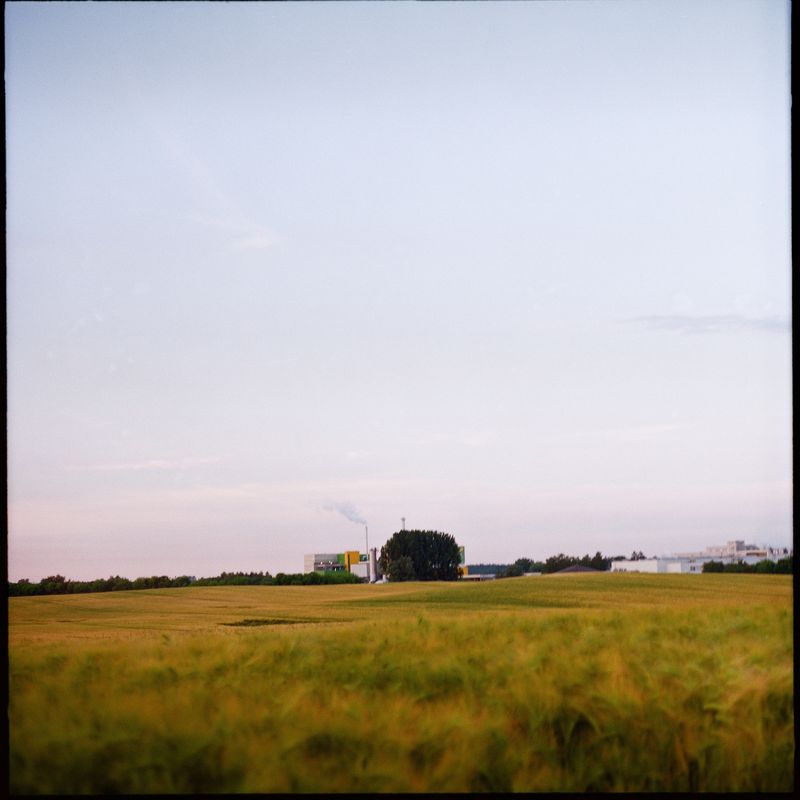 © Verdiana Albano - Pfanni, Germany, 2024