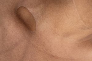 Nothing half, nothing whole