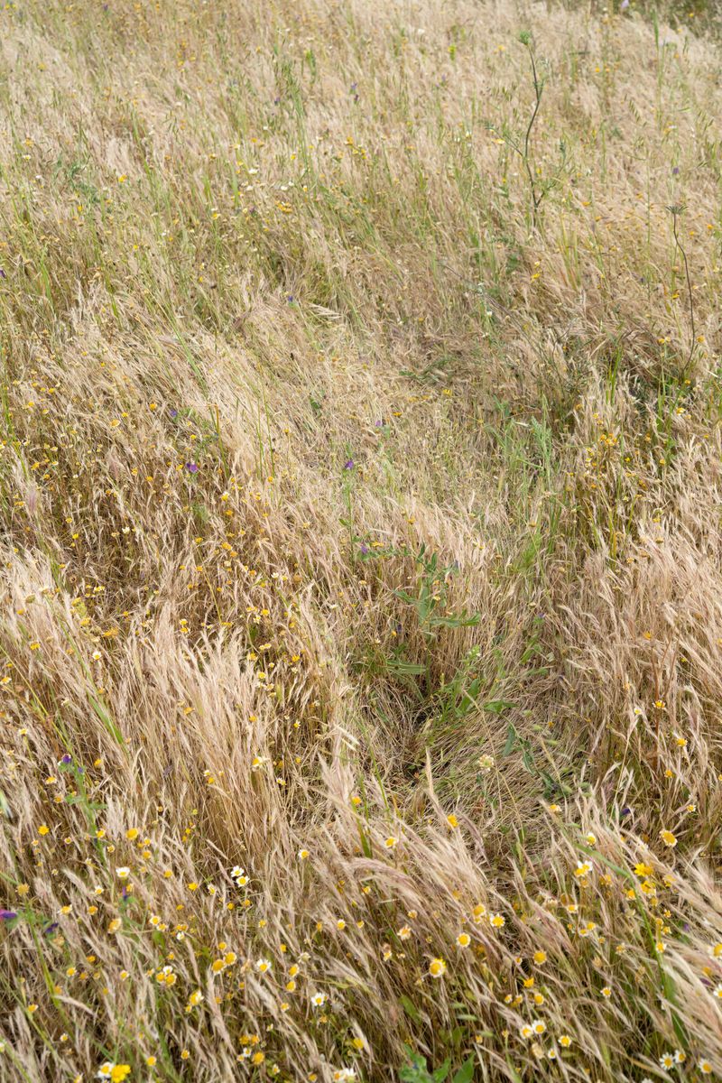 © Verdiana Albano - 10:28:26 (Hommage to Ana Mendieta II)