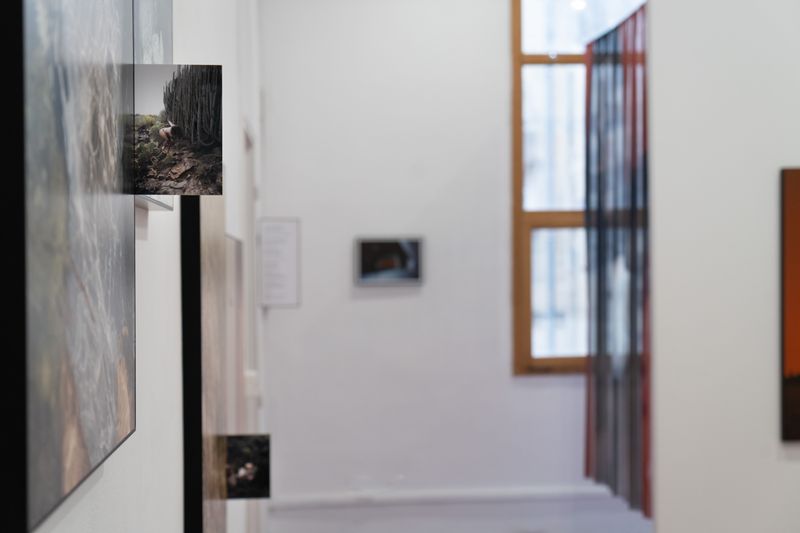 © Verdiana Albano - Les Rencontres d'Arles, 2024