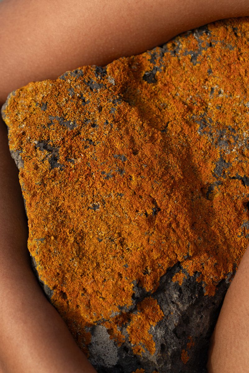 © Verdiana Albano - 19:16:11