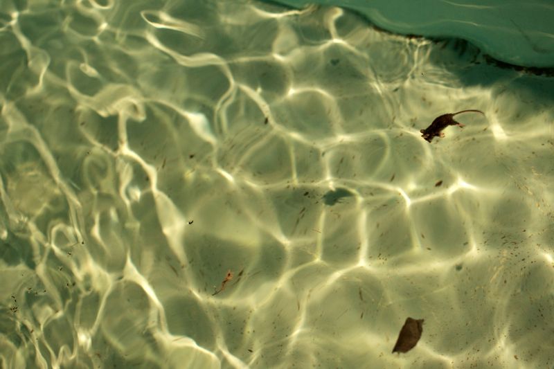 © Hugo Alcol - Image from the Archipiélago photography project