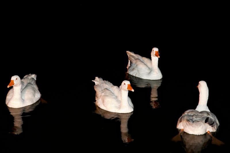 © Hugo Alcol - Image from the Archipiélago photography project