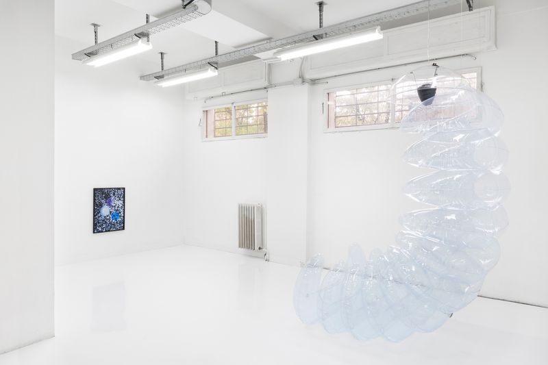 © Pauline Batista - Image from the Is Your System Optimized? photography project