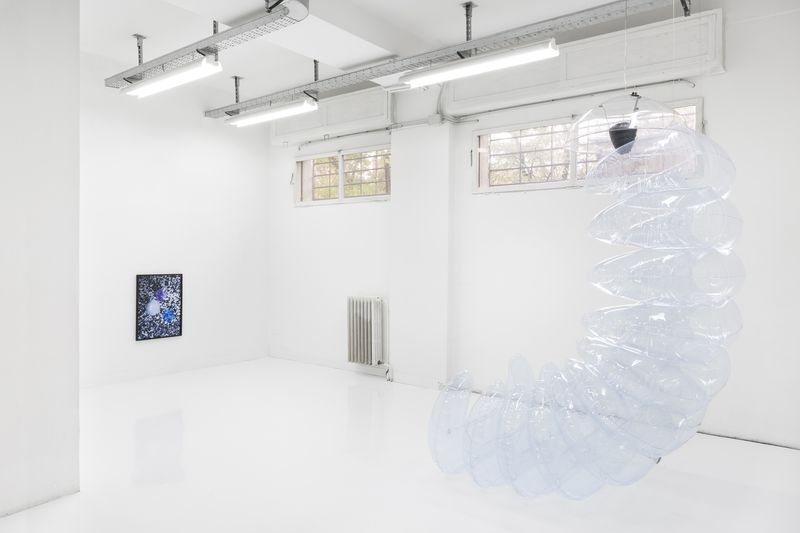 © Pauline Batista - Image from the Is Your System Optimized? photography project