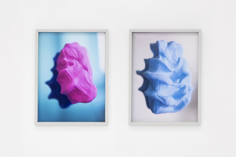 © Pauline Batista - Image from the Is Your System Optimized? photography project