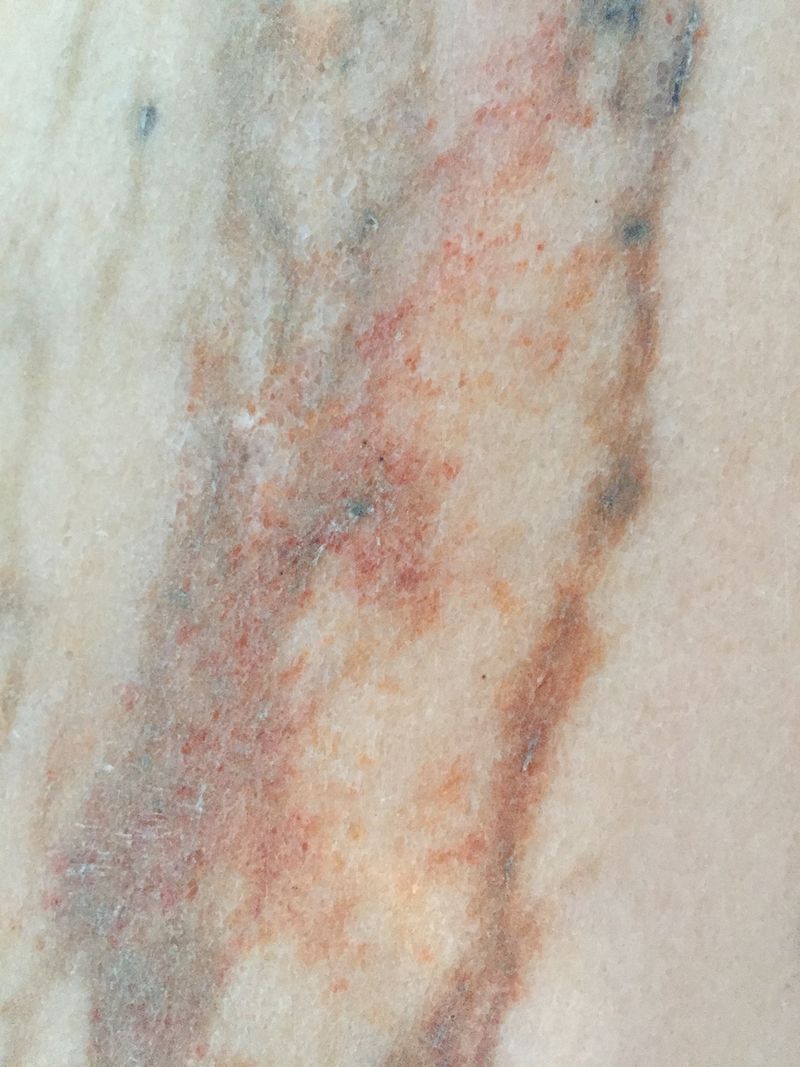 © Pauline Batista - Cross-section (dyptich)c-type print42 x32cm