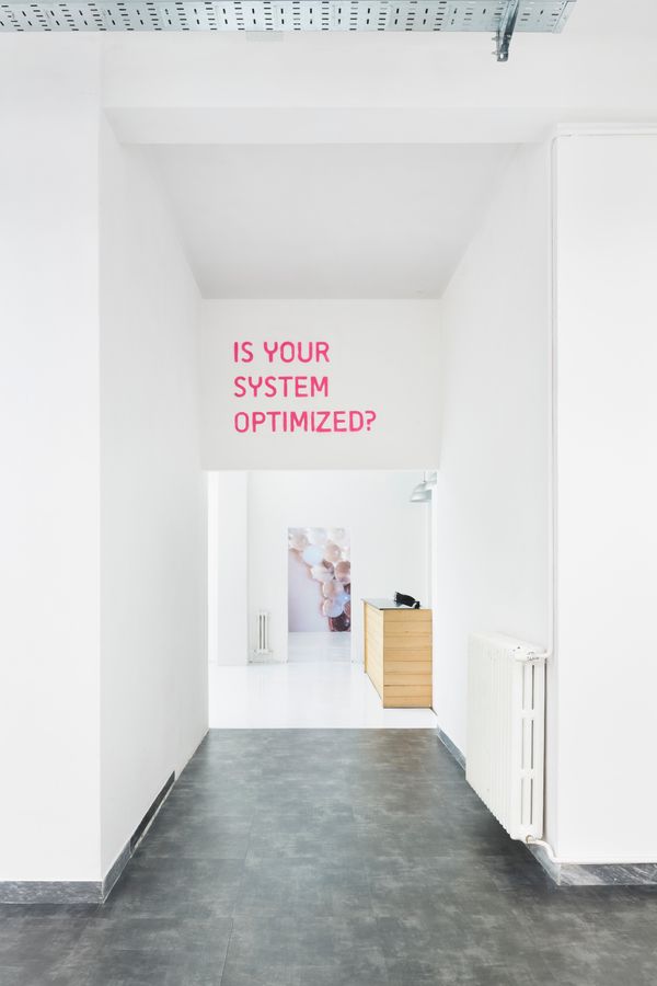 © Pauline Batista - Image from the Is Your System Optimized? photography project