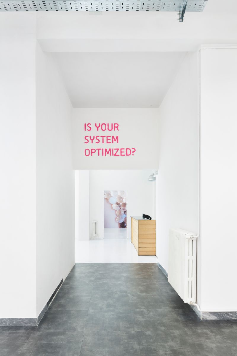 © Pauline Batista - Image from the Is Your System Optimized? photography project