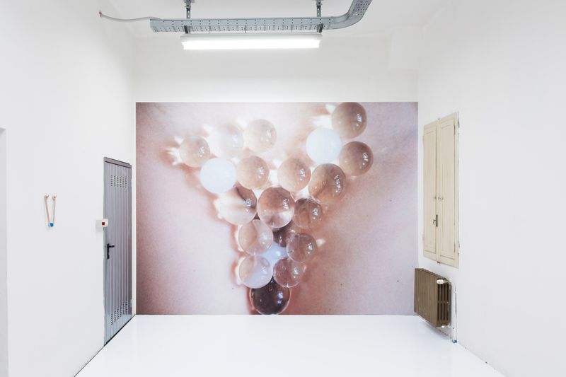 © Pauline Batista - Implantation (site specific wallaper) Installation view @GALLLERIAPIU