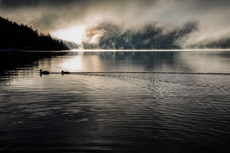 © Robin Hayes - Empty