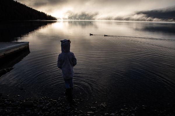 © Robin Hayes - Alone
