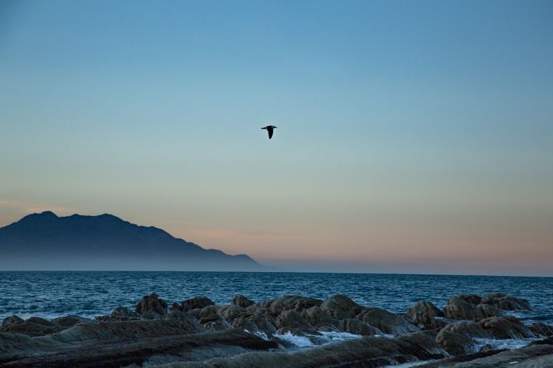 © Robin Hayes - Untethered, Soar