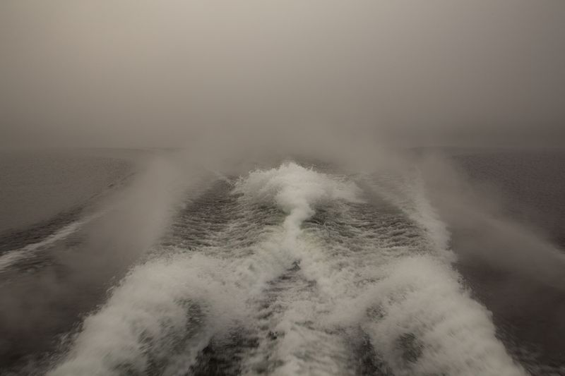 © Robin Hayes - Vanished