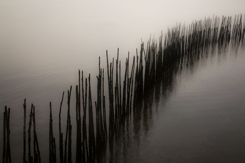 © Robin Hayes - Lost