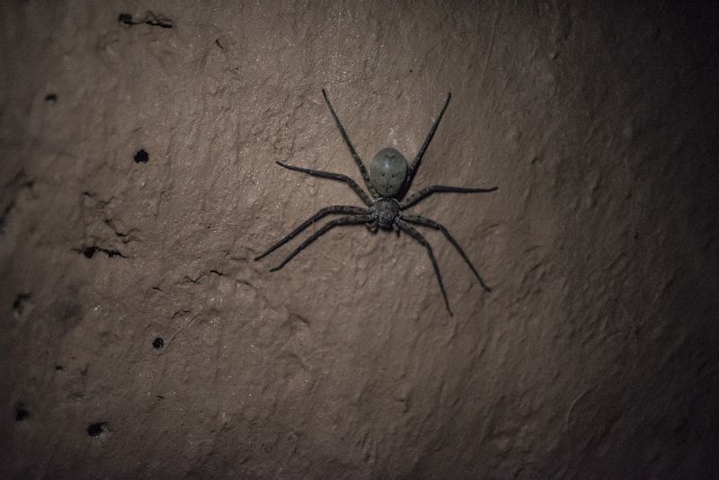 © Maria  Contreras Coll - Image from the Journey To Impurity photography project